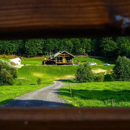 Valley House Cabana Cu Priveliste De Vis Sita Buzăului Exteriör bild