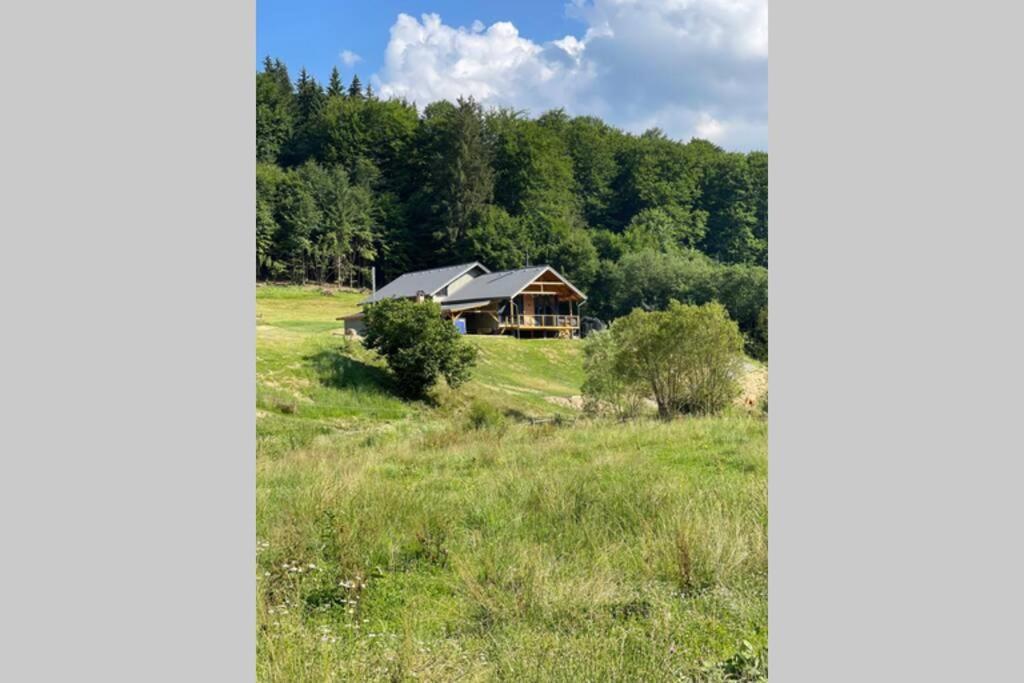 Valley House Cabana Cu Priveliste De Vis Sita Buzăului Exteriör bild