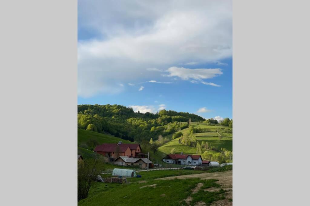 Valley House Cabana Cu Priveliste De Vis Sita Buzăului Exteriör bild