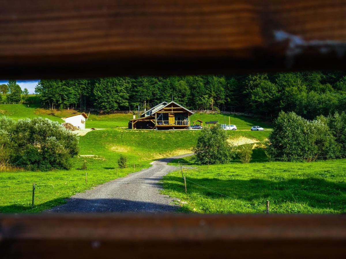 Valley House Cabana Cu Priveliste De Vis Sita Buzăului Exteriör bild
